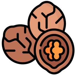 Herb Seeds Icon